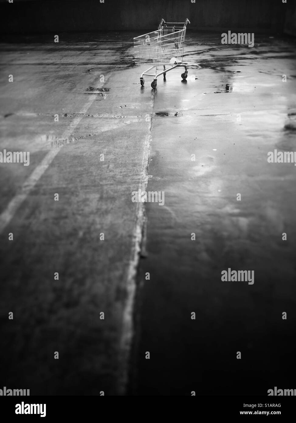 Shopping trolley in black and white. - Smartphone Captured Stock Image