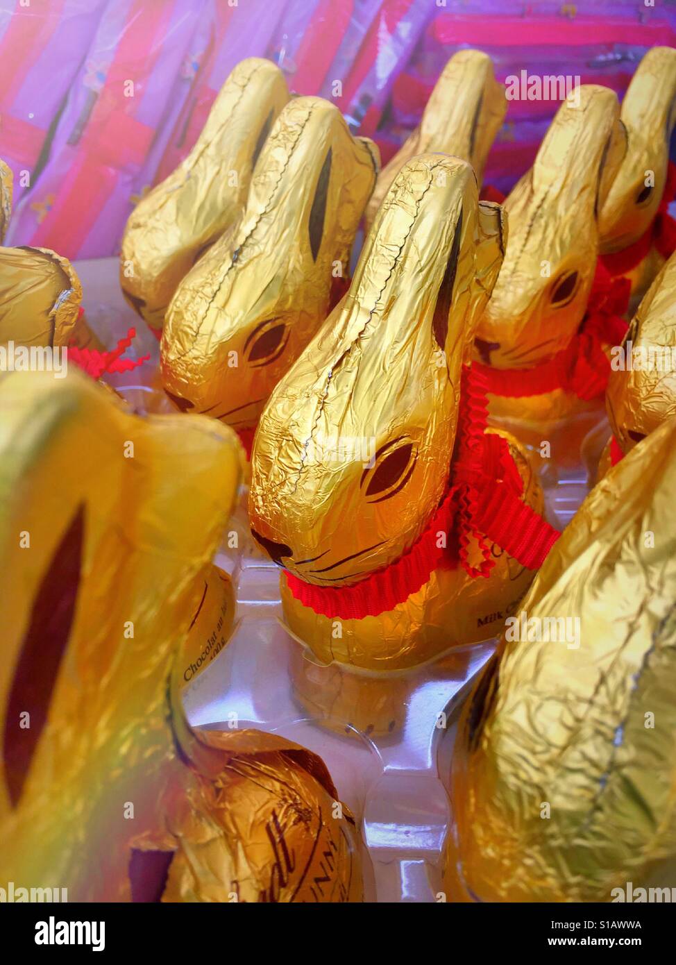 Chocolate foil wrapped bunny display for Easter, USA Stock Photo