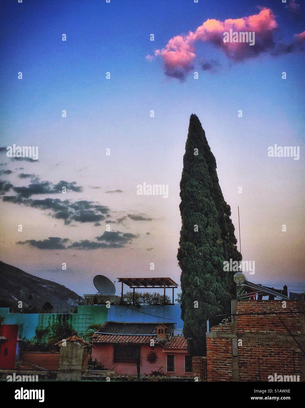 A tree points to a pink cloud in the sky over Ajijic, Mexico. Stock Photo