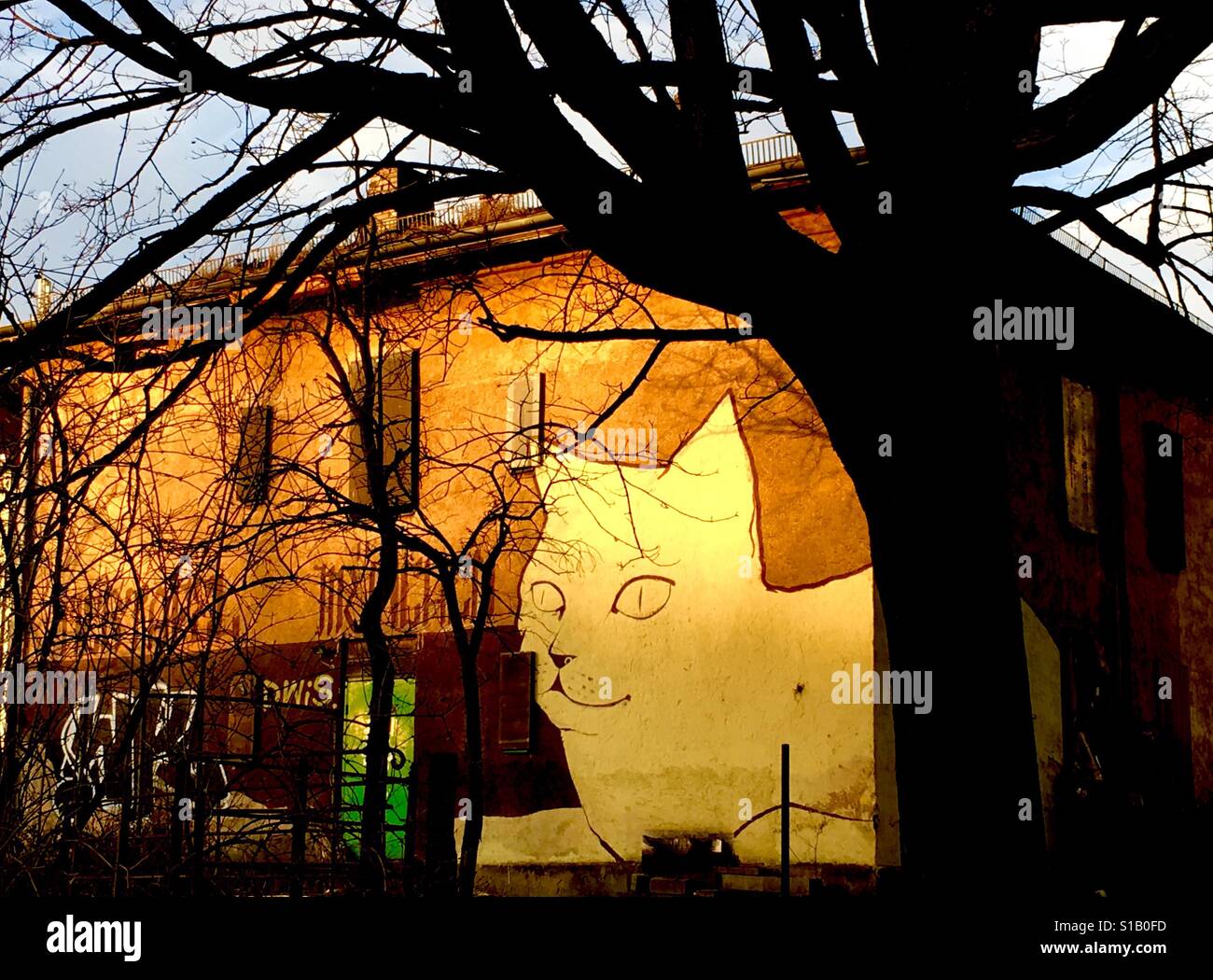 Cat Street Art Munich, Germany - Smartphone Captured Stock Image
