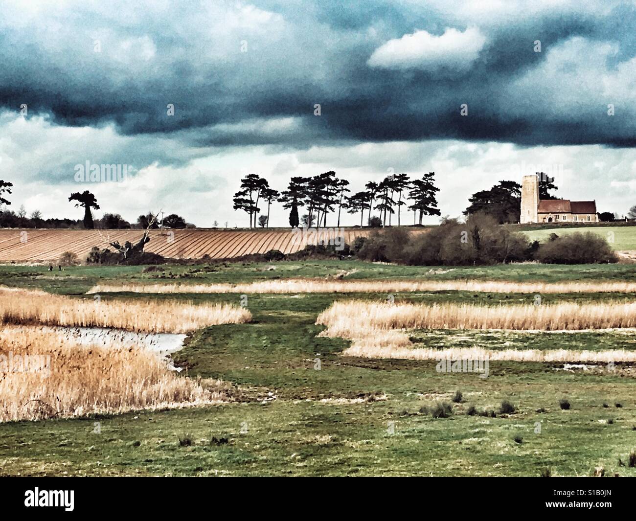 Ramsholt marshes Suffolk UK - Smartphone Captured Stock Image