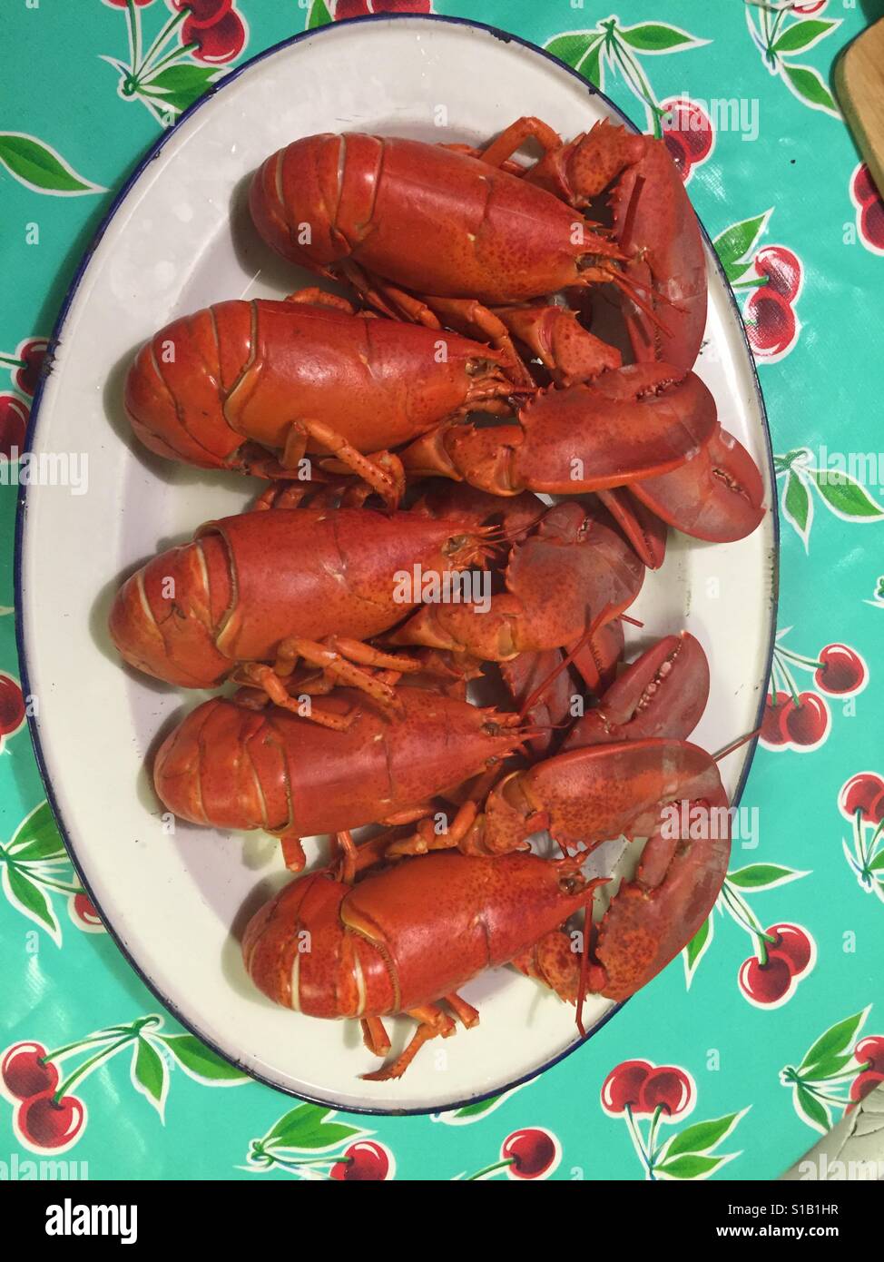 Maine Lobster Dinner Stock Photo Alamy