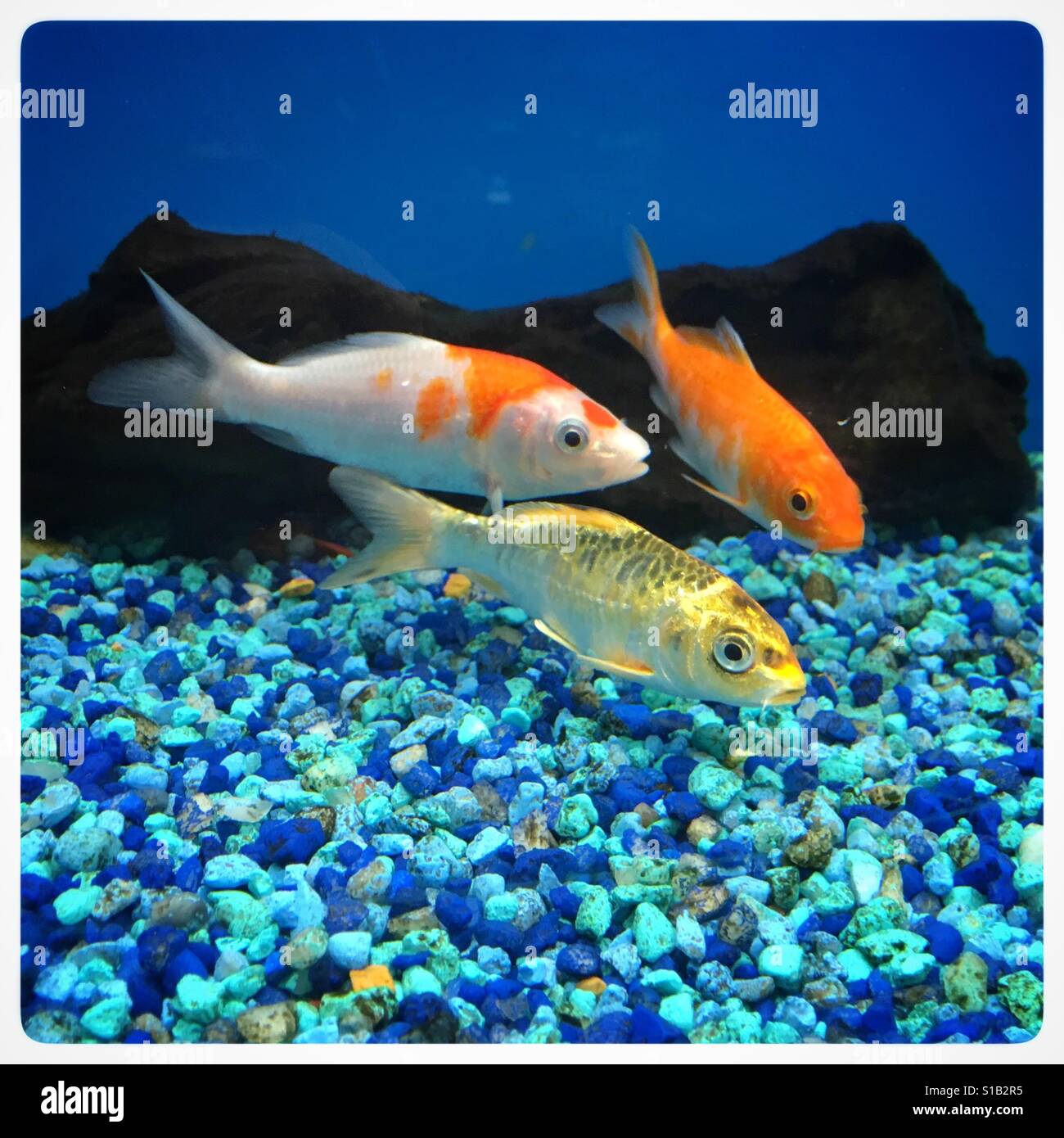 My Image 9
