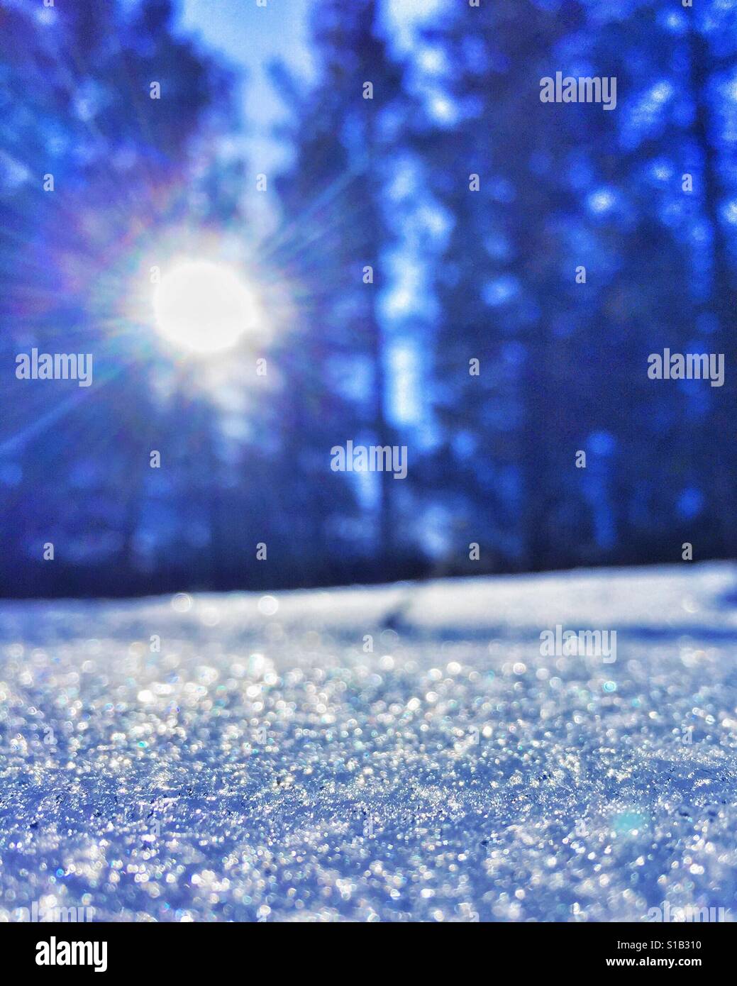 Close up of sparkling snow in the forest with sun star peaking through the trees in the background. - Smartphone Captured Stock Image