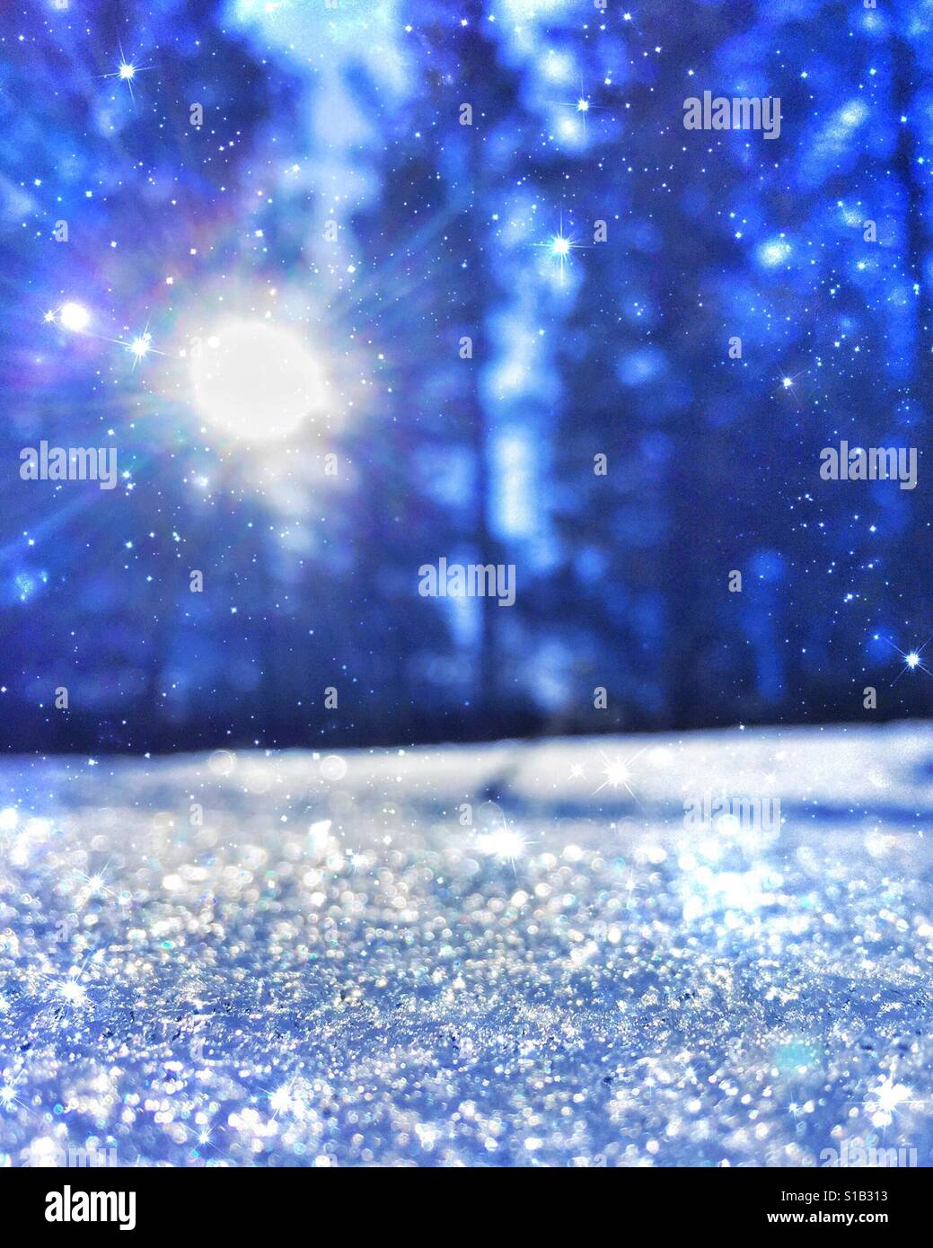 Close up of sparkling snow in the forest with sun star peaking through the trees in the background. Sparkle star effect. Stock Photo