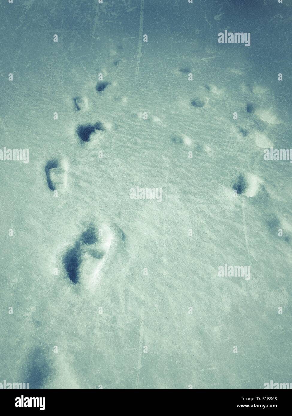 Footprints on snow - Smartphone Captured Stock Image