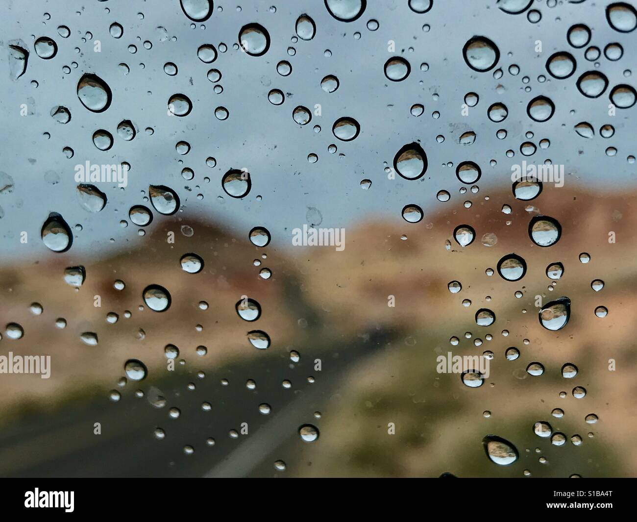 Rain drop Stock Photo