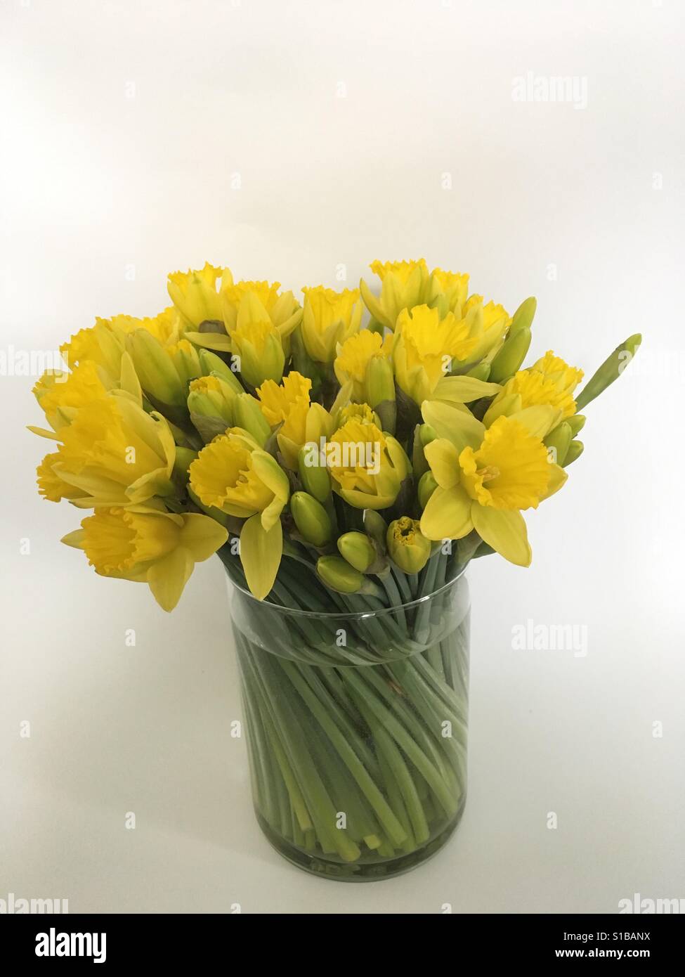 Bouquet of narcissuses Stock Photo - Alamy
