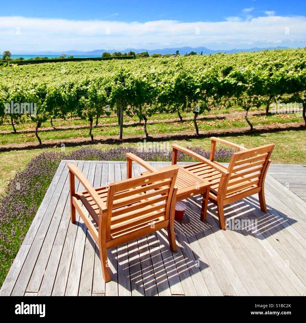 Vineyard, Nelson, New Zealand Stock Photo Alamy