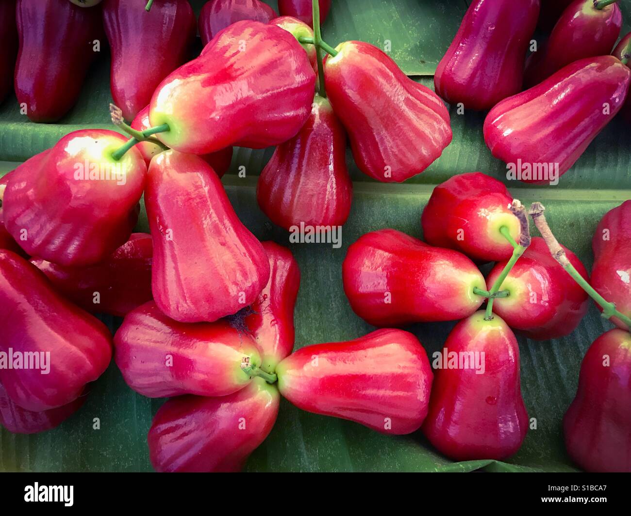 Red Malay rose apple, fruit of Syzygium malaccense Stock Photo