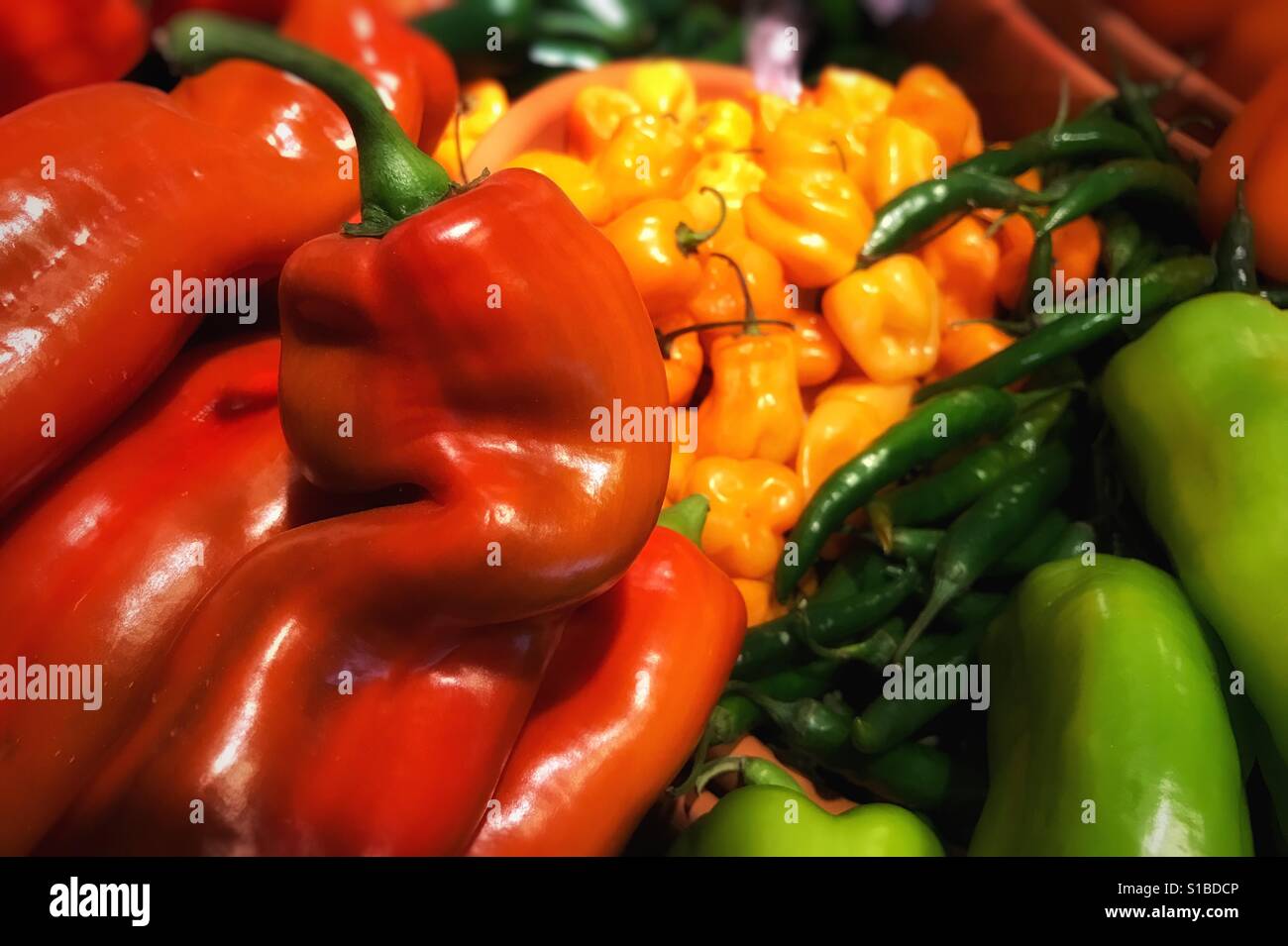 Bright colored hot chile peppers at the market Stock Photo Alamy