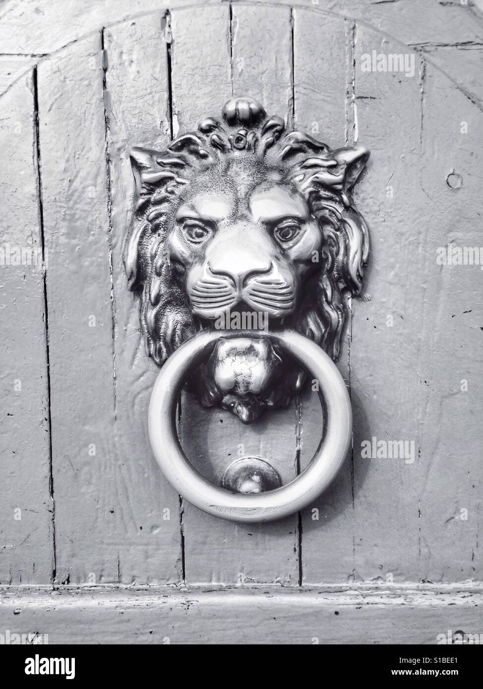 Lion shaped knocker Stock Photo