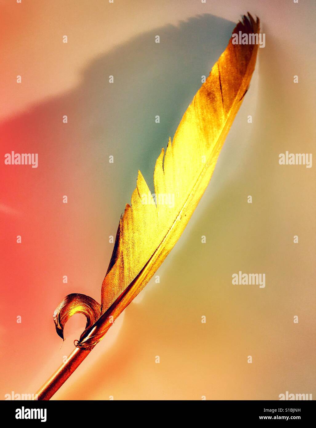 Gold feather - Smartphone Captured Stock Image