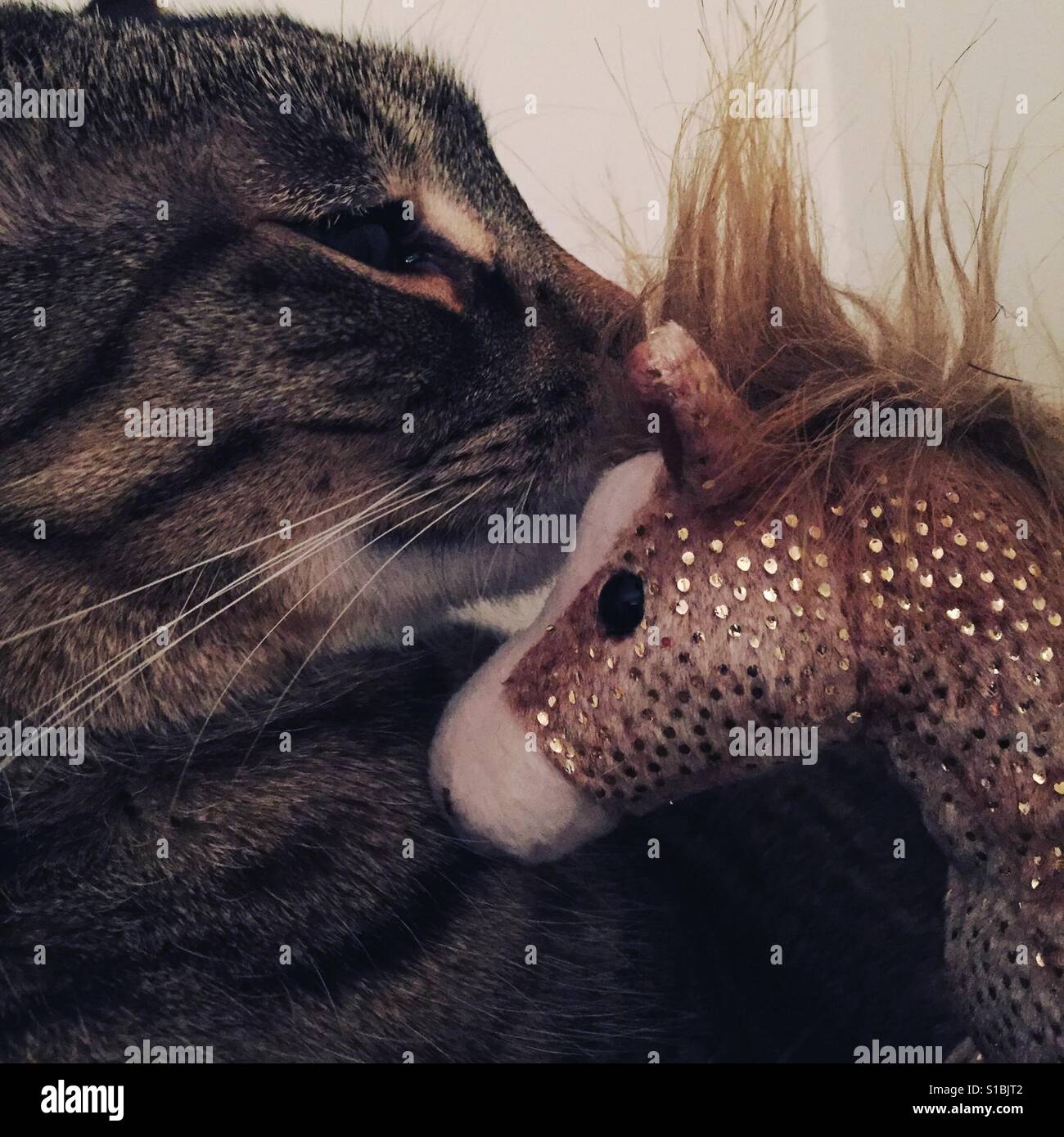 Friends - Smartphone Captured Stock Image