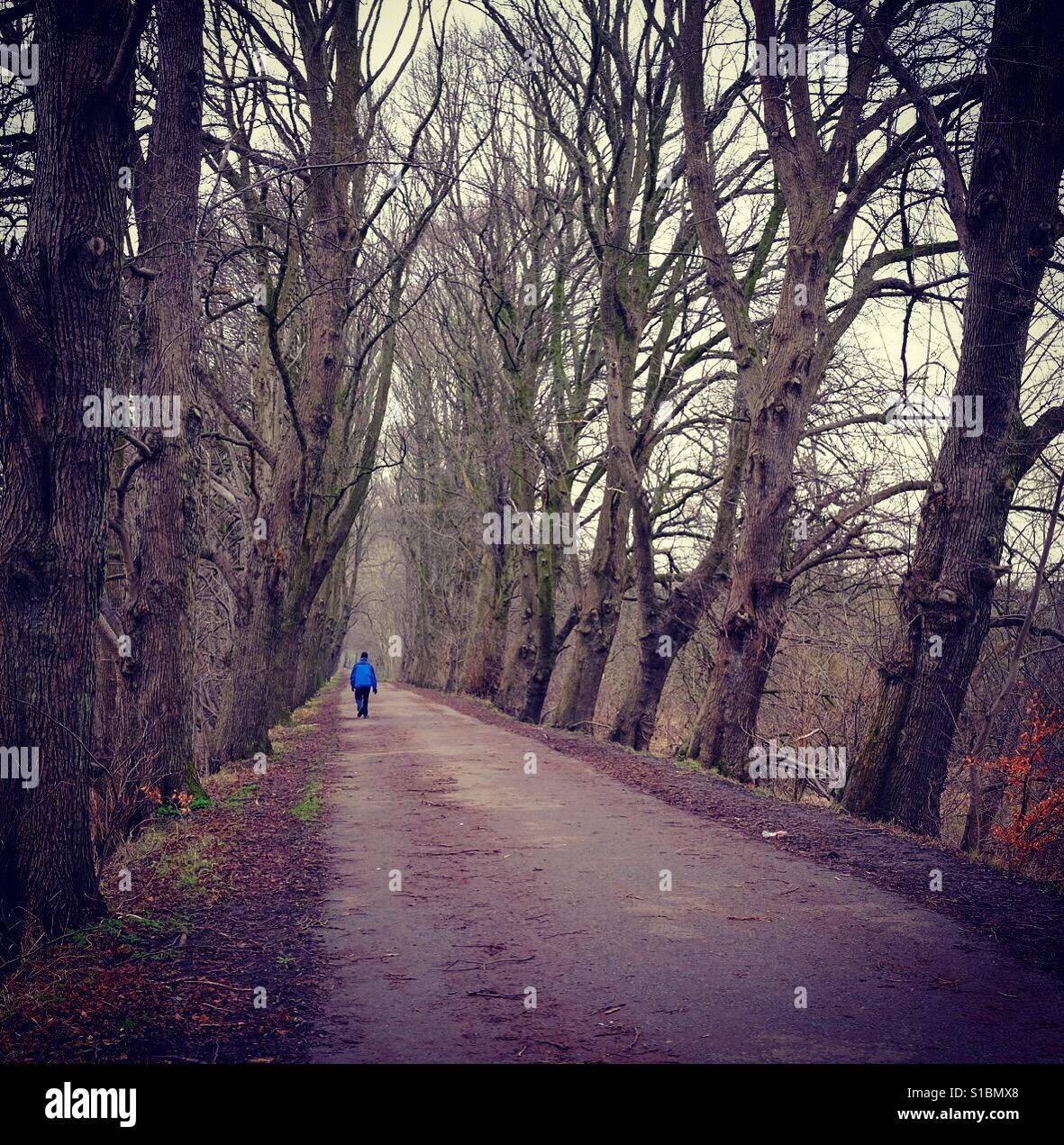 Solo Walker High Resolution Stock Photography and Images - Alamy