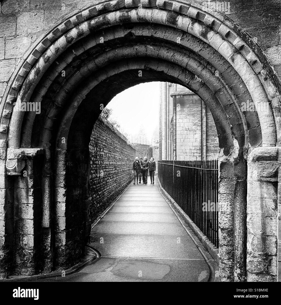 Peterborough cathedral cloisters hires stock photography and images