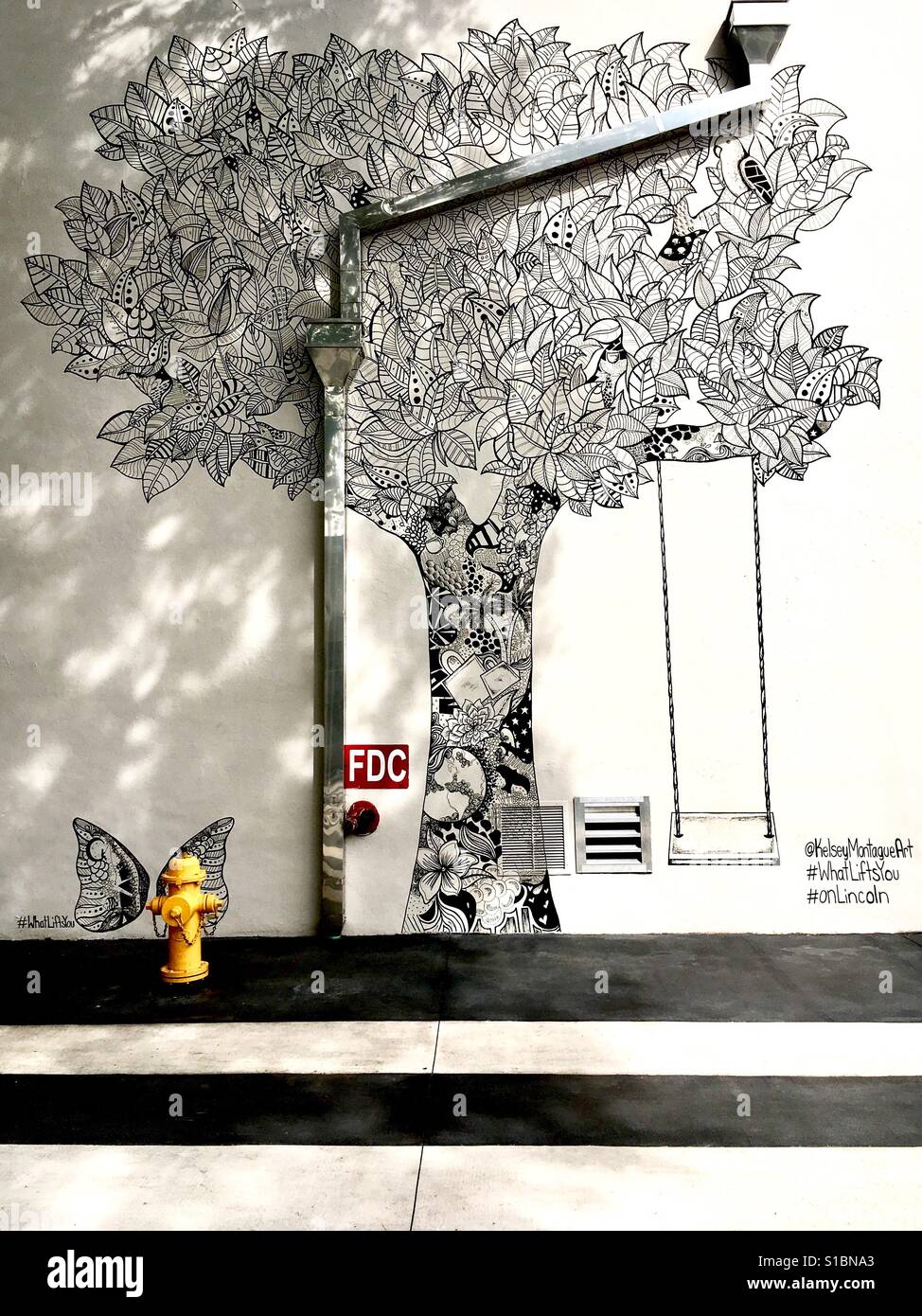 South Beach Tree - Smartphone Captured Stock Image