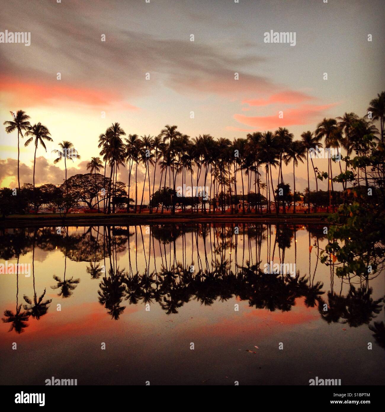 Sunrise at Ala Moana Park, Honolulu, Hawaii Stock Photo
