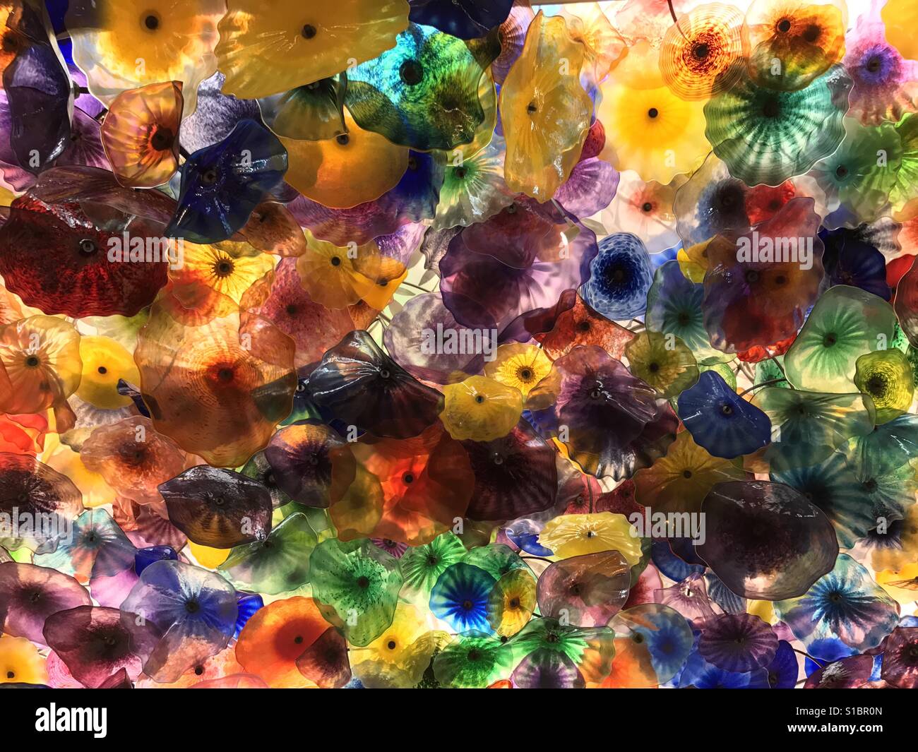 Glass Flowers View of Glass Flower Bed inside of the Bellagio Hotel