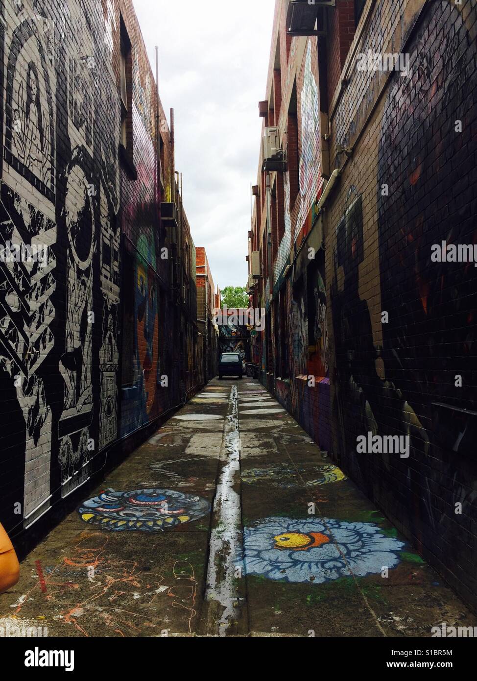 An alley way in Melbourne covered with graffiti Stock Photo Alamy