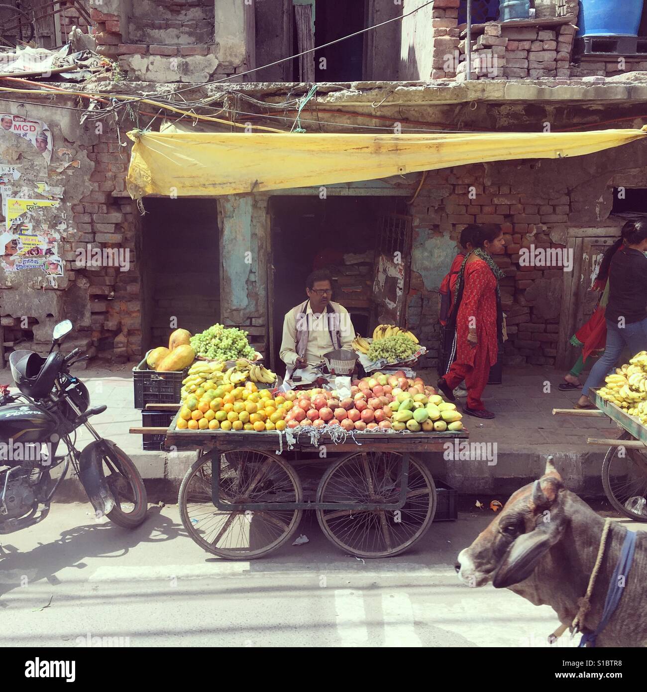 Fruit stall with wandering cow in Delhi - Smartphone Captured Stock Image