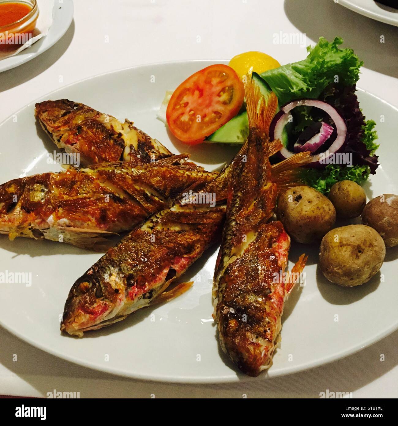 Fresh red snapper straight from the sea Stock Photo