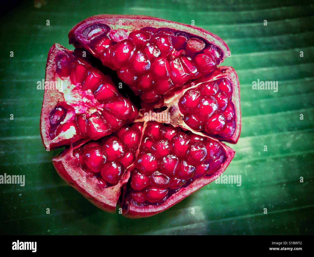 Red ripe pomegranate, (Punica granatum) on banana leaf background Stock Photo