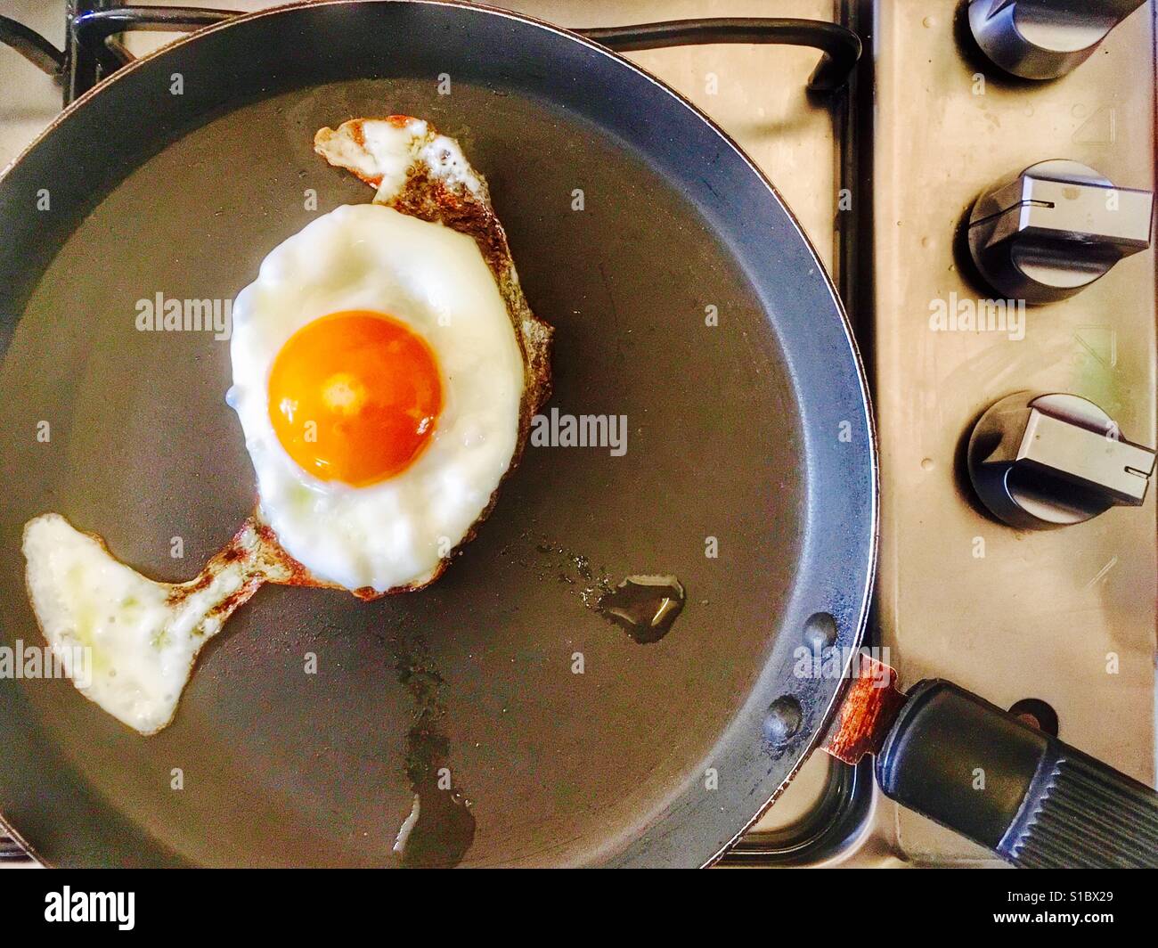Fried egg - Smartphone Captured Stock Image