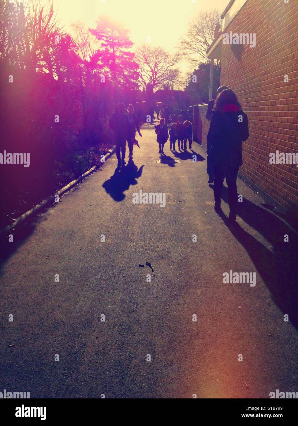 People walking along a path towards the sun. - Smartphone Captured Stock Image