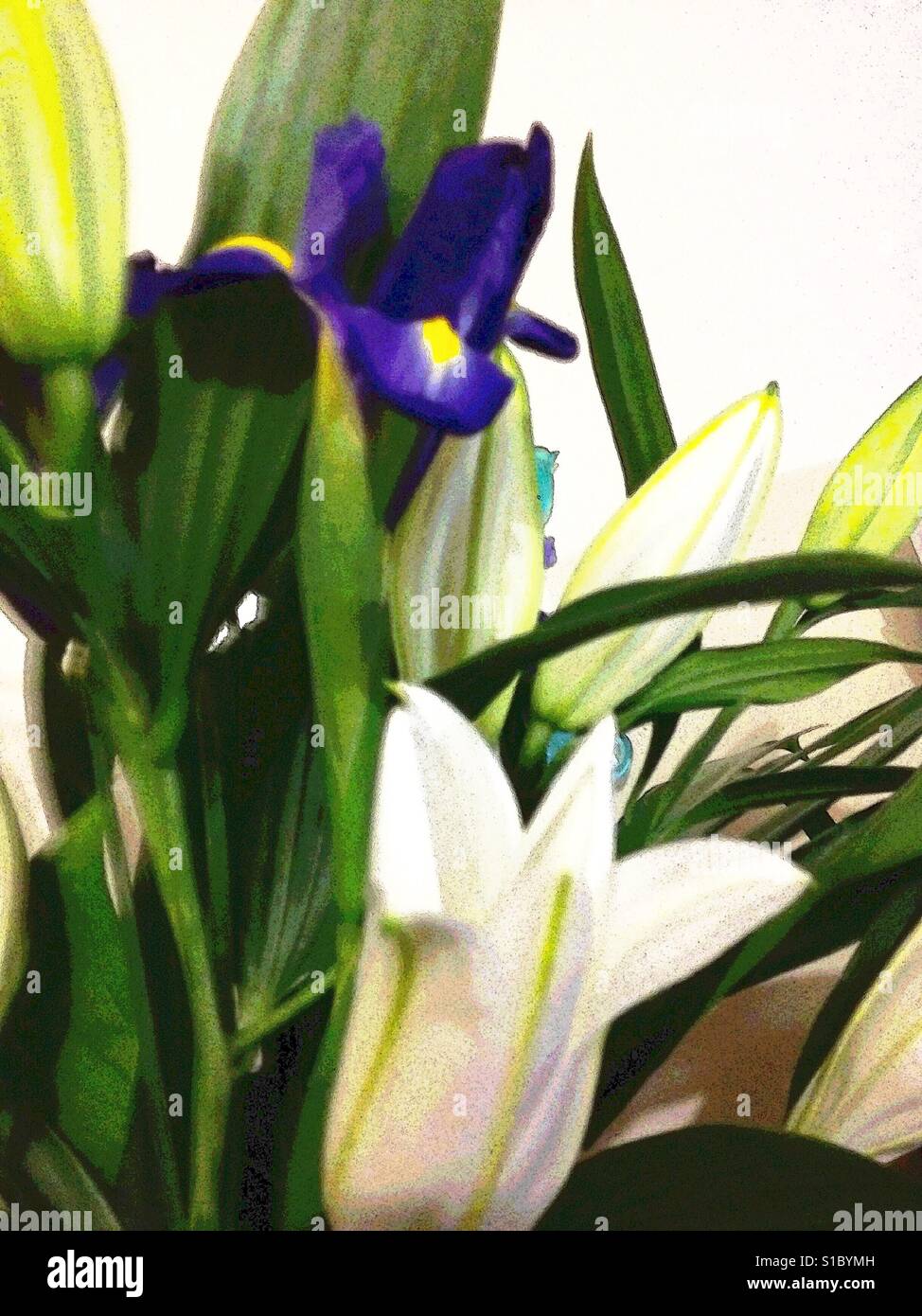 Easter Irises and Lillies Stock Photo
