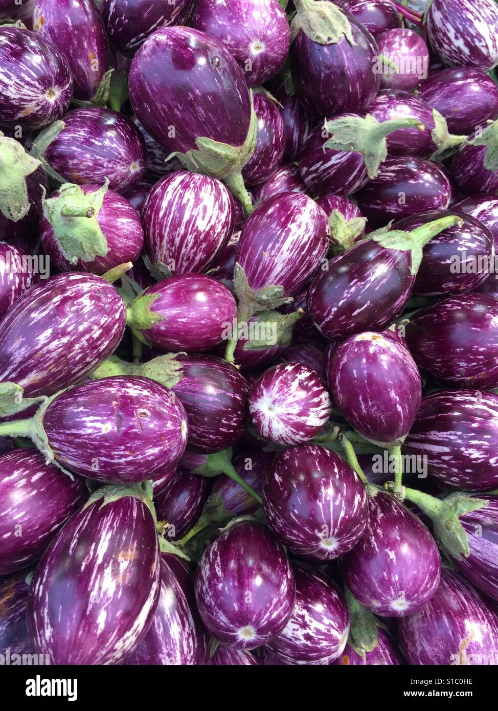 Eggplant, or aubergine, is a species of nightshade grown for its edible
