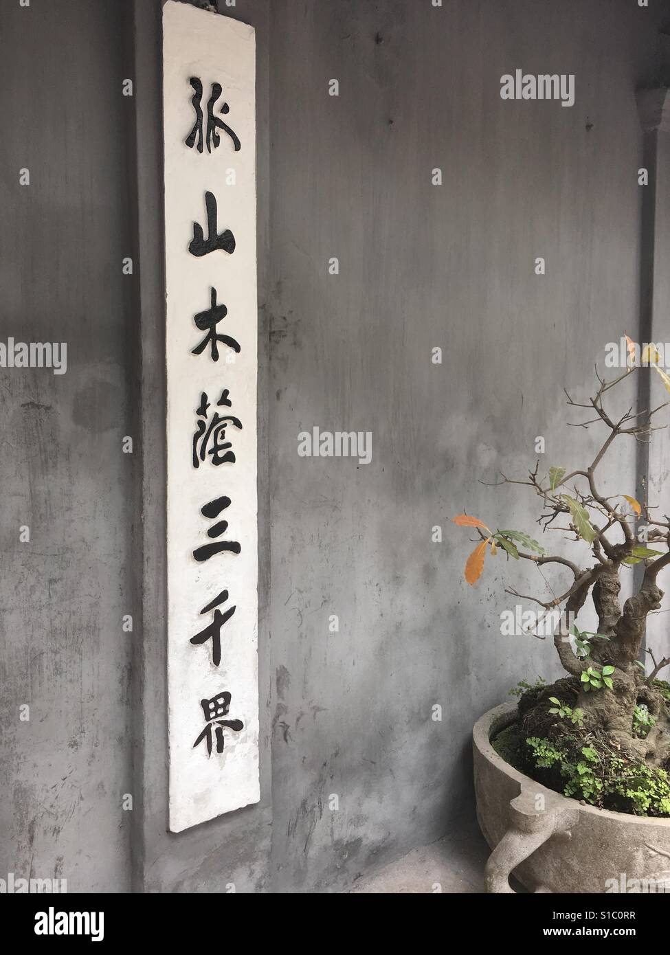 Chinese letter characters in garden with bonsai Stock Photo Alamy
