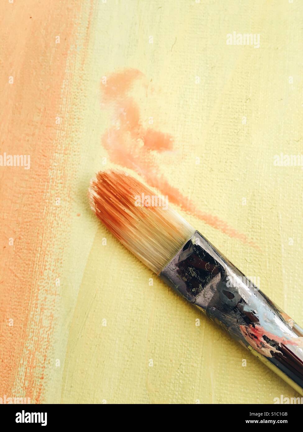 The Paint Brush Cover PBL20 Likwid The Paint Brush Light, Orange