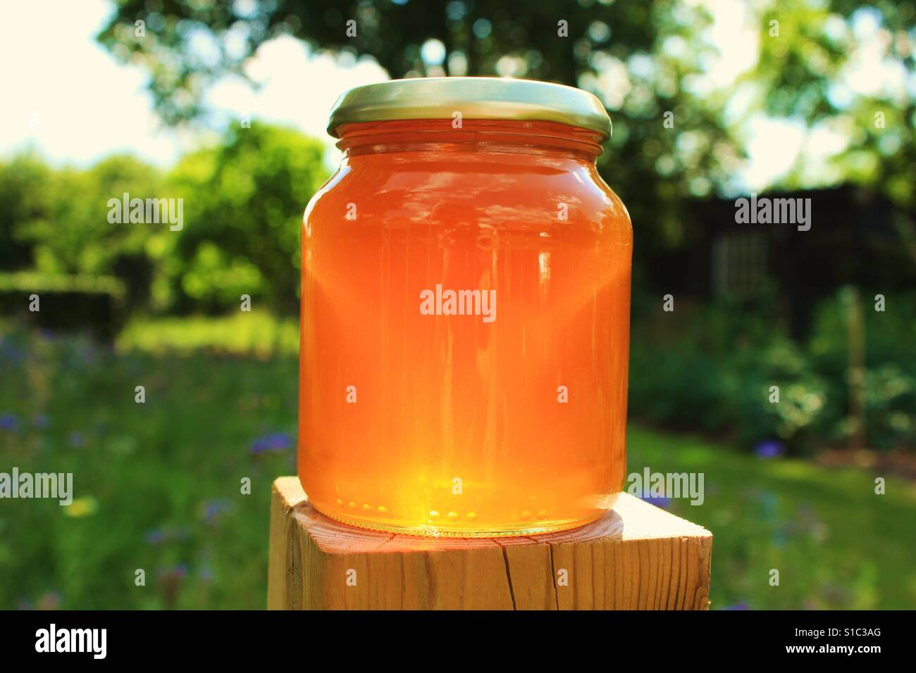 The honey pot hires stock photography and images Alamy