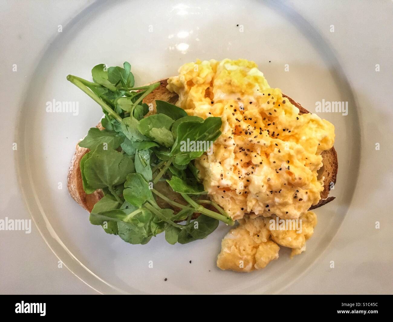 Scrambled egg on toast, with greens - Smartphone Captured Stock Image