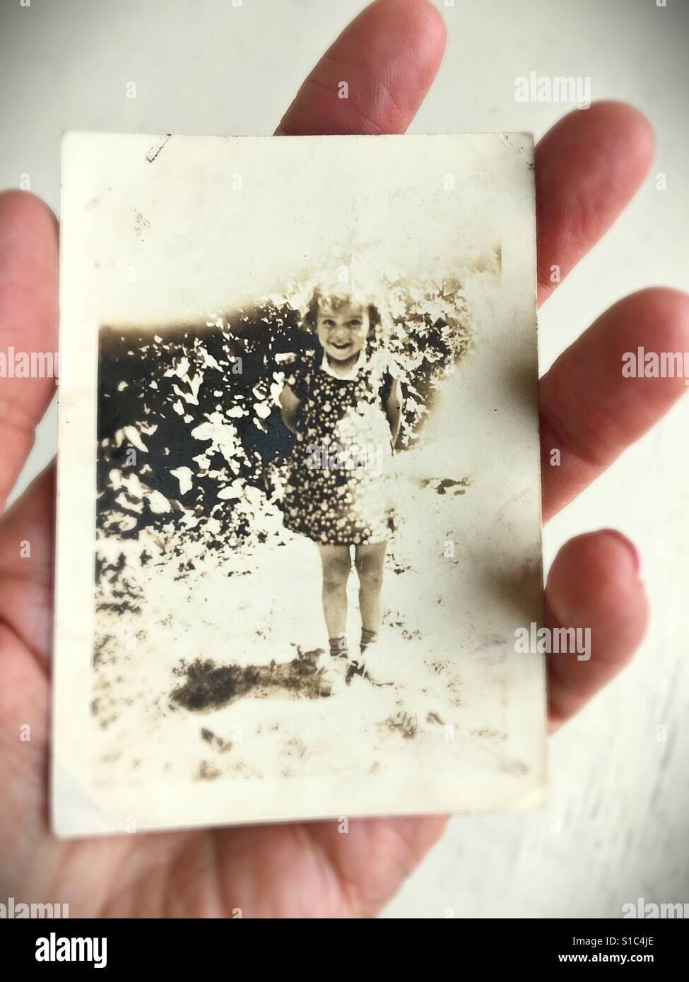 A hand holding an old photo of a little girl in the 40s. Stock Photo