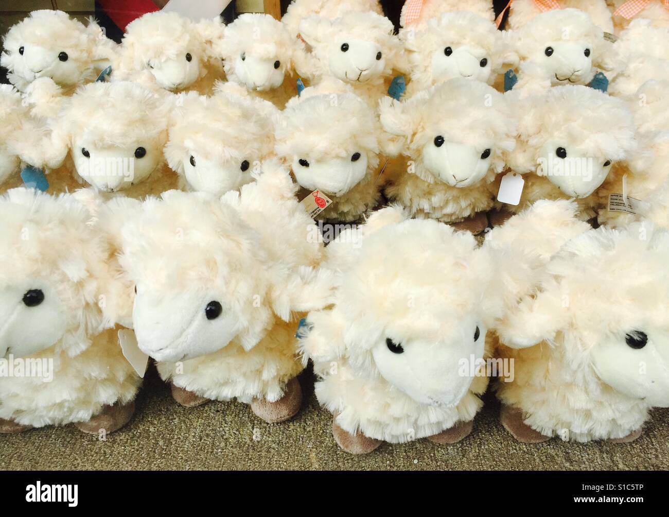 Fluffy toy sheep Stock Photo
