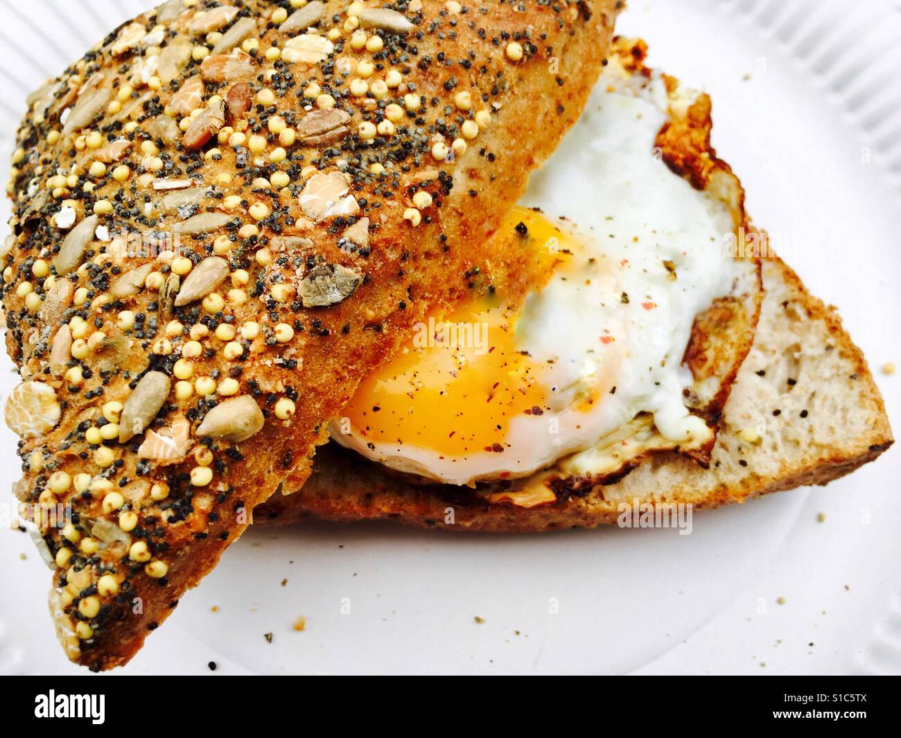Fried egg in multi seeded roll - Smartphone Captured Stock Image