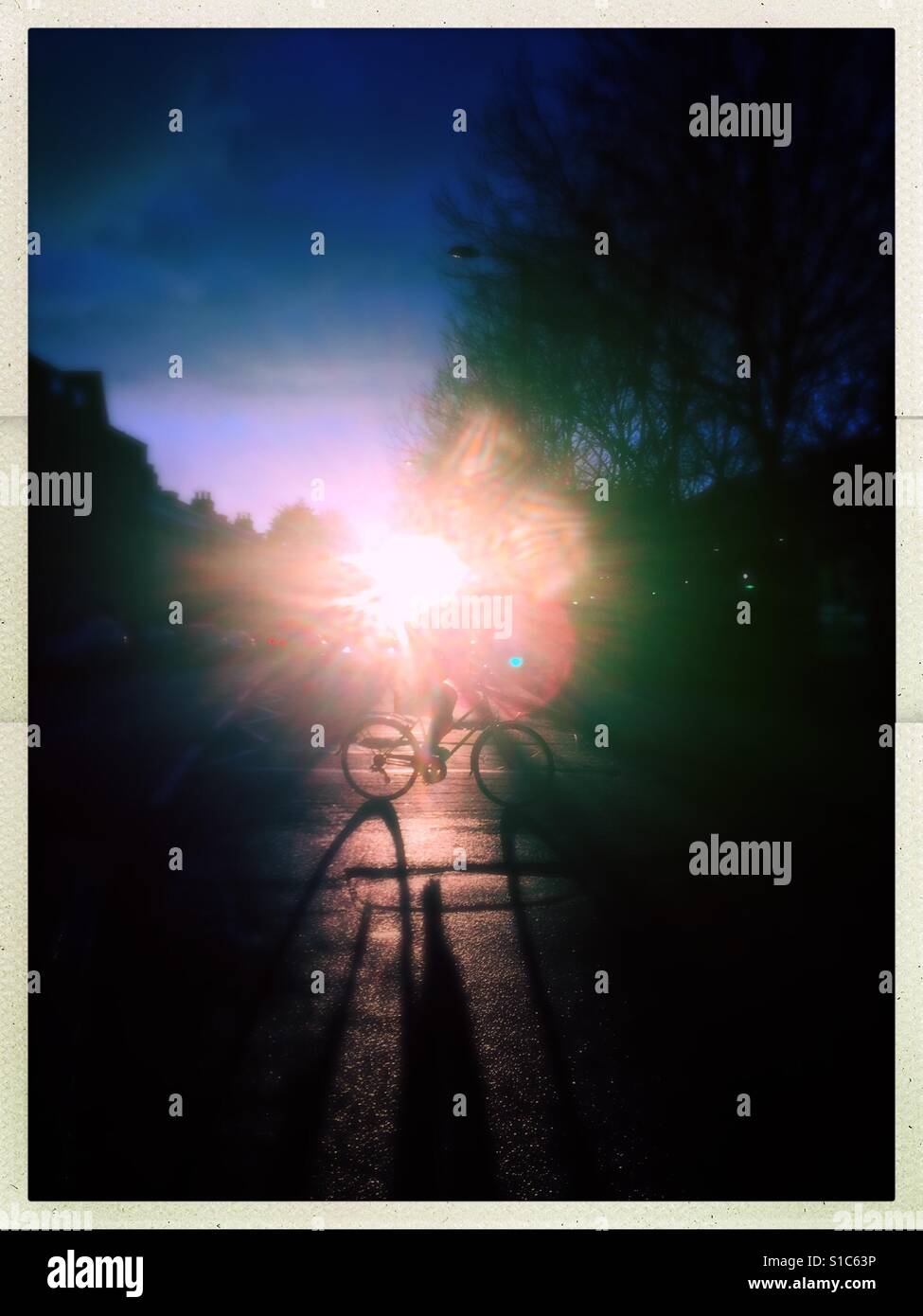 Cyclist and sunburst In a street of London - Smartphone Captured Stock Image