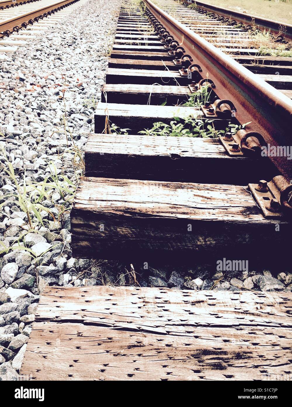Railroad tracks - Smartphone Captured Stock Image