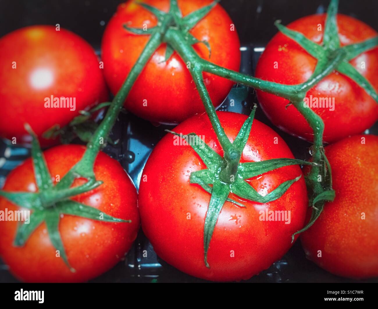 Italian Vine ripened tomatoes - Smartphone Captured Stock Image