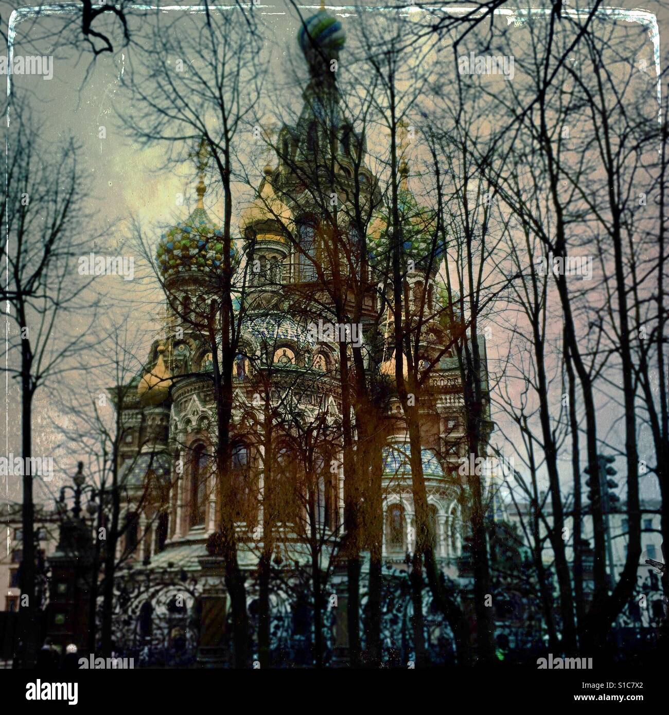 Onion domes in winter between the trees of Saint Petersburg, Russia - Smartphone Captured Stock Image