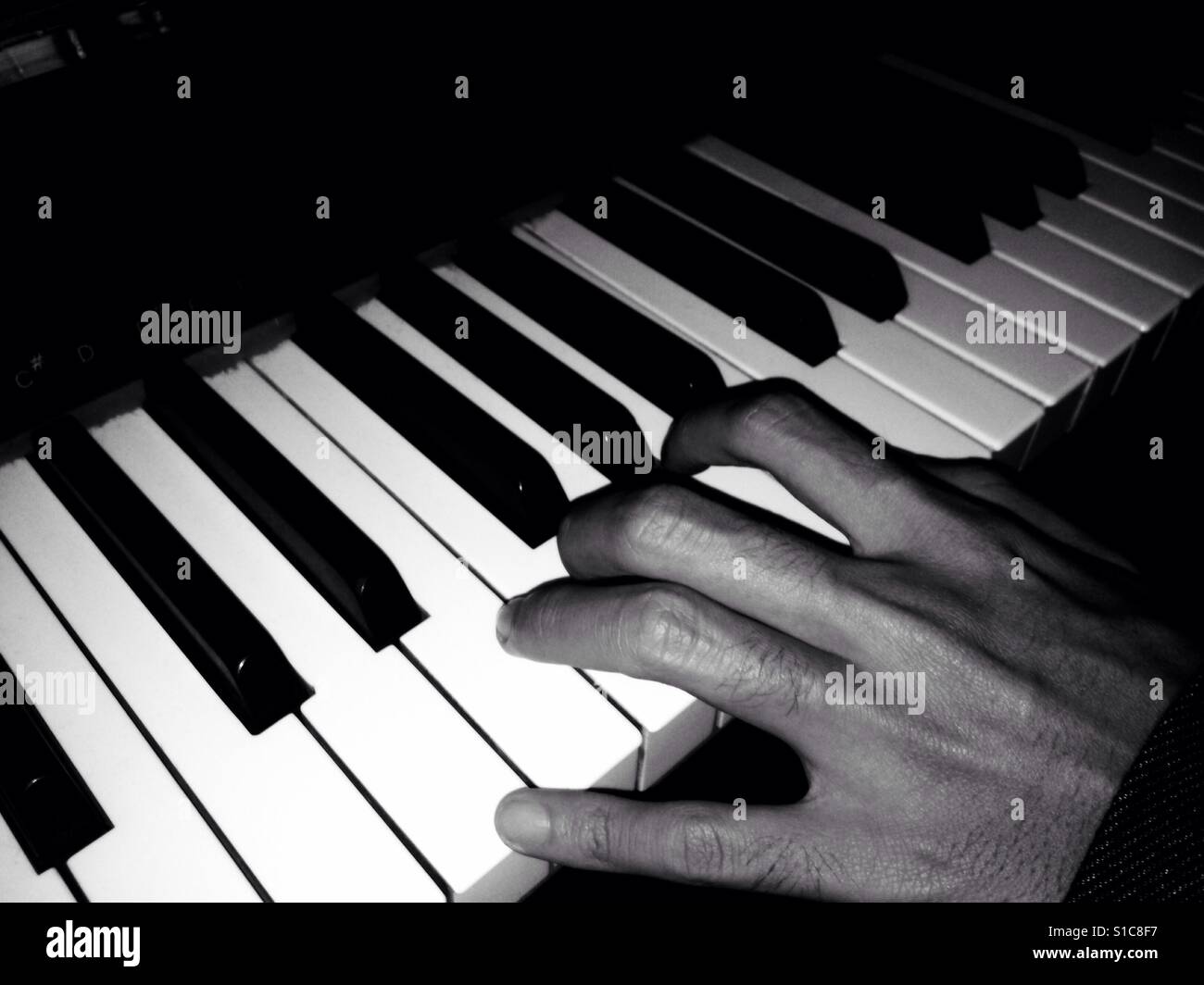 Fingers Touching Key Tone Piano Stock Photo