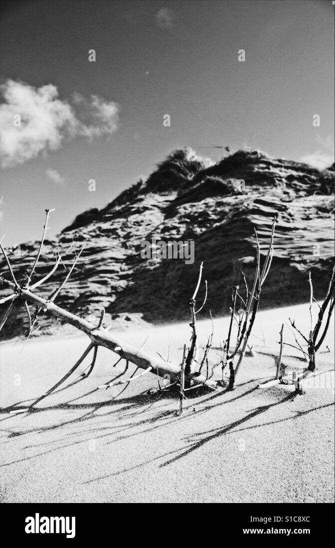 Formby beach hires stock photography and images Alamy