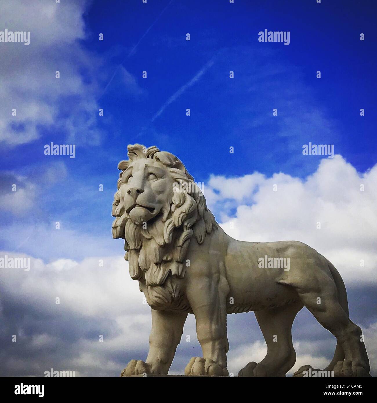 Lion on Westminster Bridge in London England - Smartphone Captured Stock Image