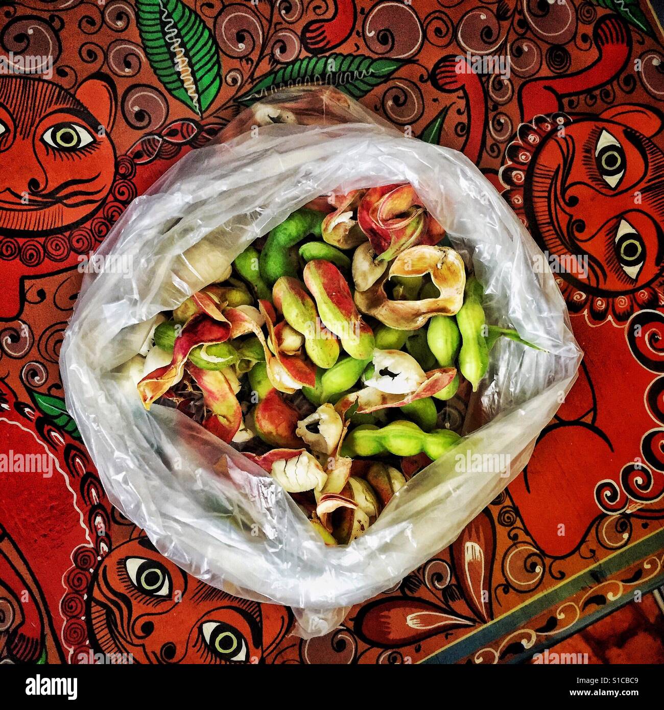 An open plastic bag filled with Guamuchil pods on a painted tabletop in Jalisco, Mexico. Stock Photo