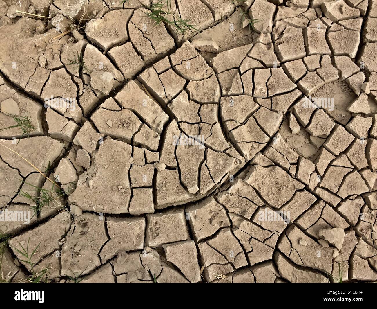 Dry, cracked earth - Smartphone Captured Stock Image