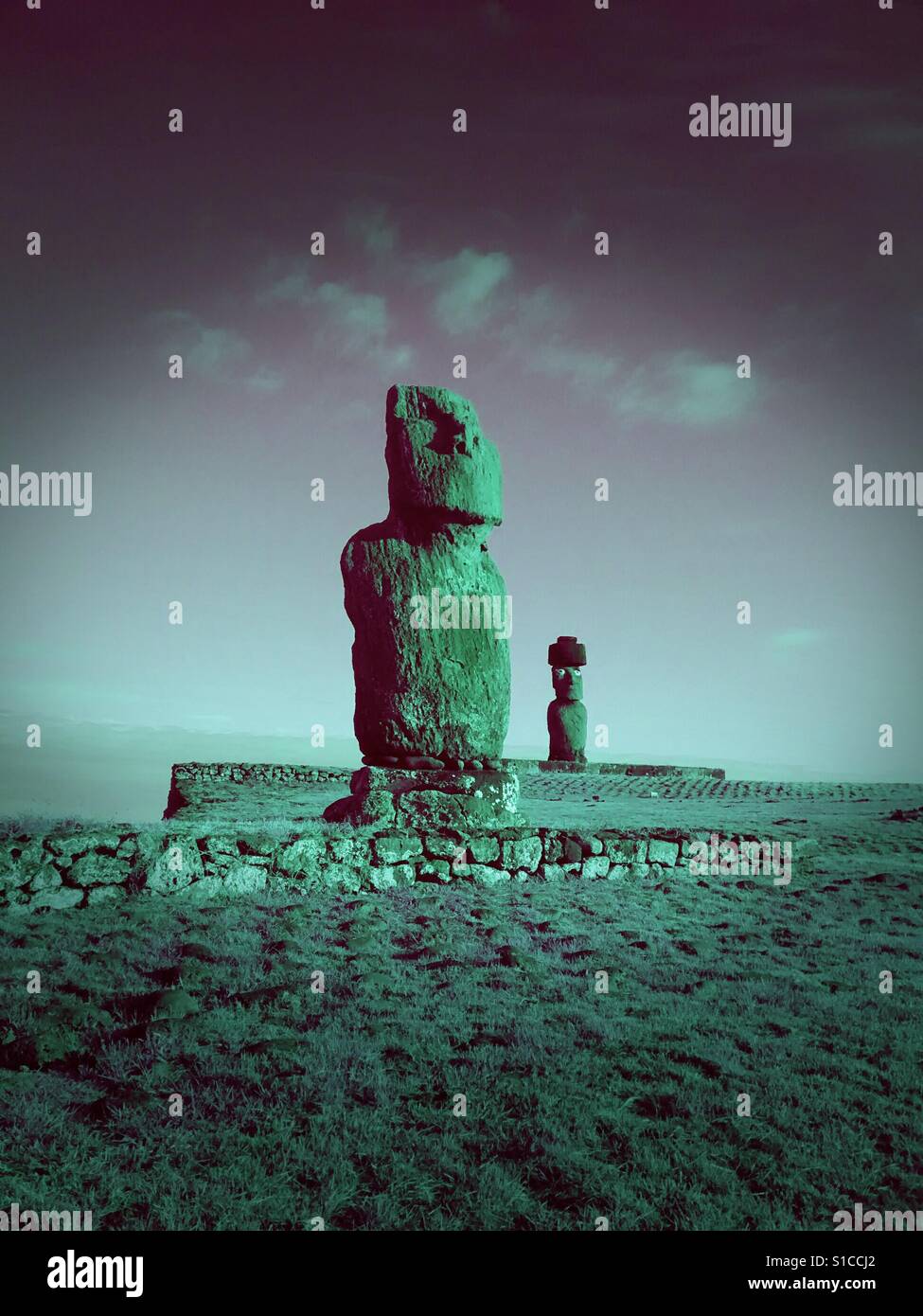 Moai statues, Easter island - Smartphone Captured Stock Image