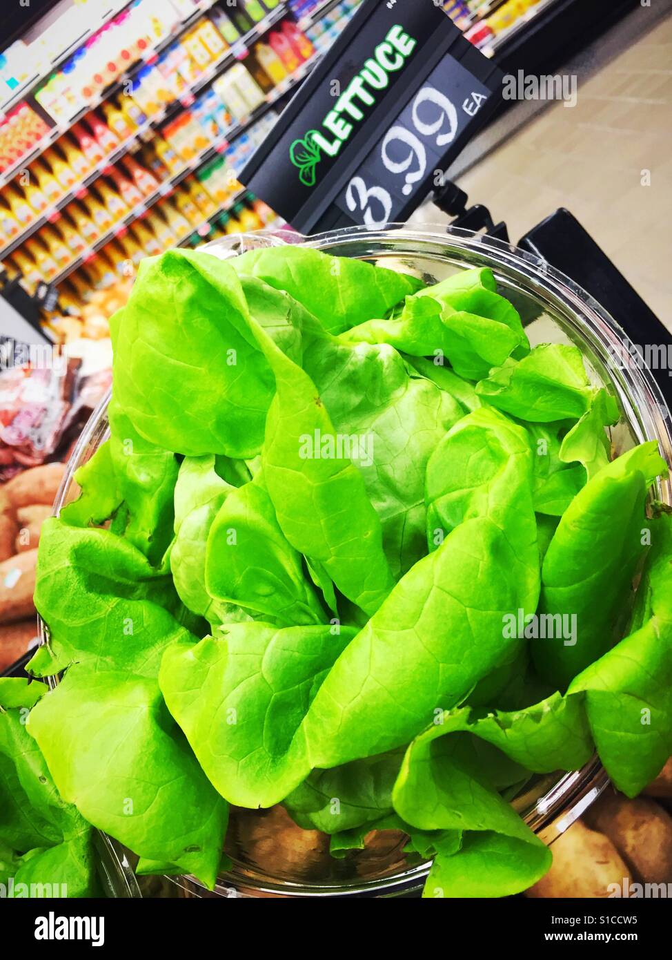 Fresh head of butter lettuce for sale in grocery store, USA Stock Photo Alamy