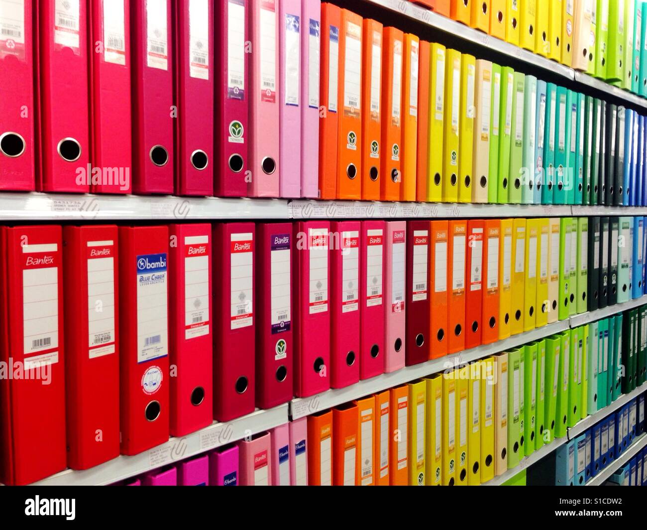 colorful binders